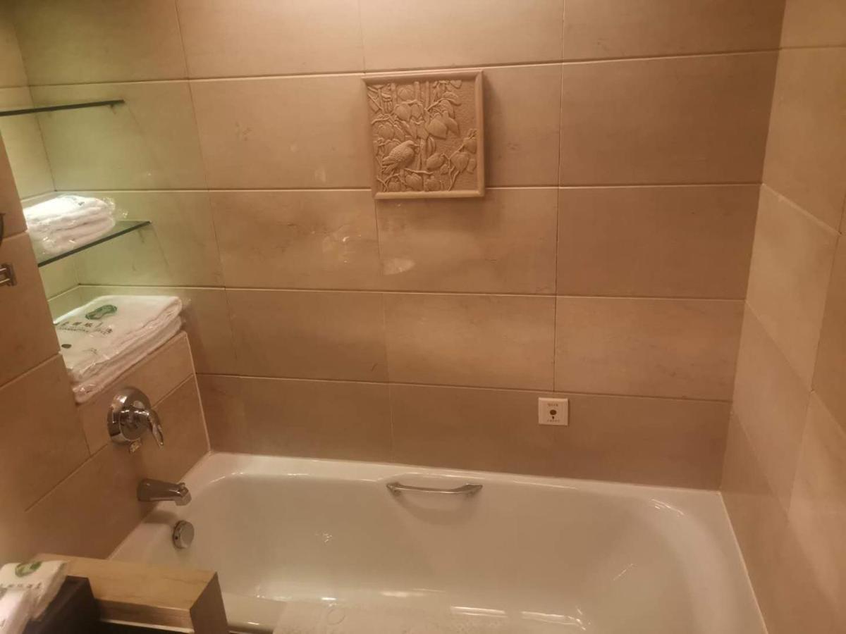 Royal International Hotel Urumqi Eksteriør billede